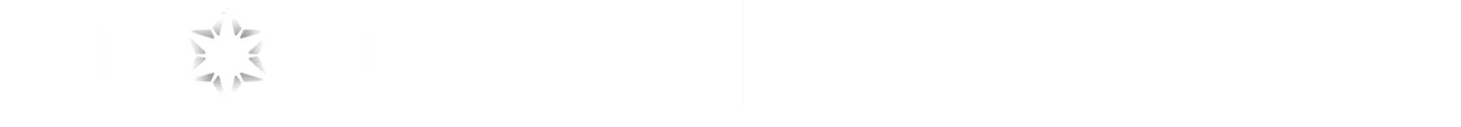 TNS-x-Geely_Wordmark-LOGO_White_NO-BG_R1